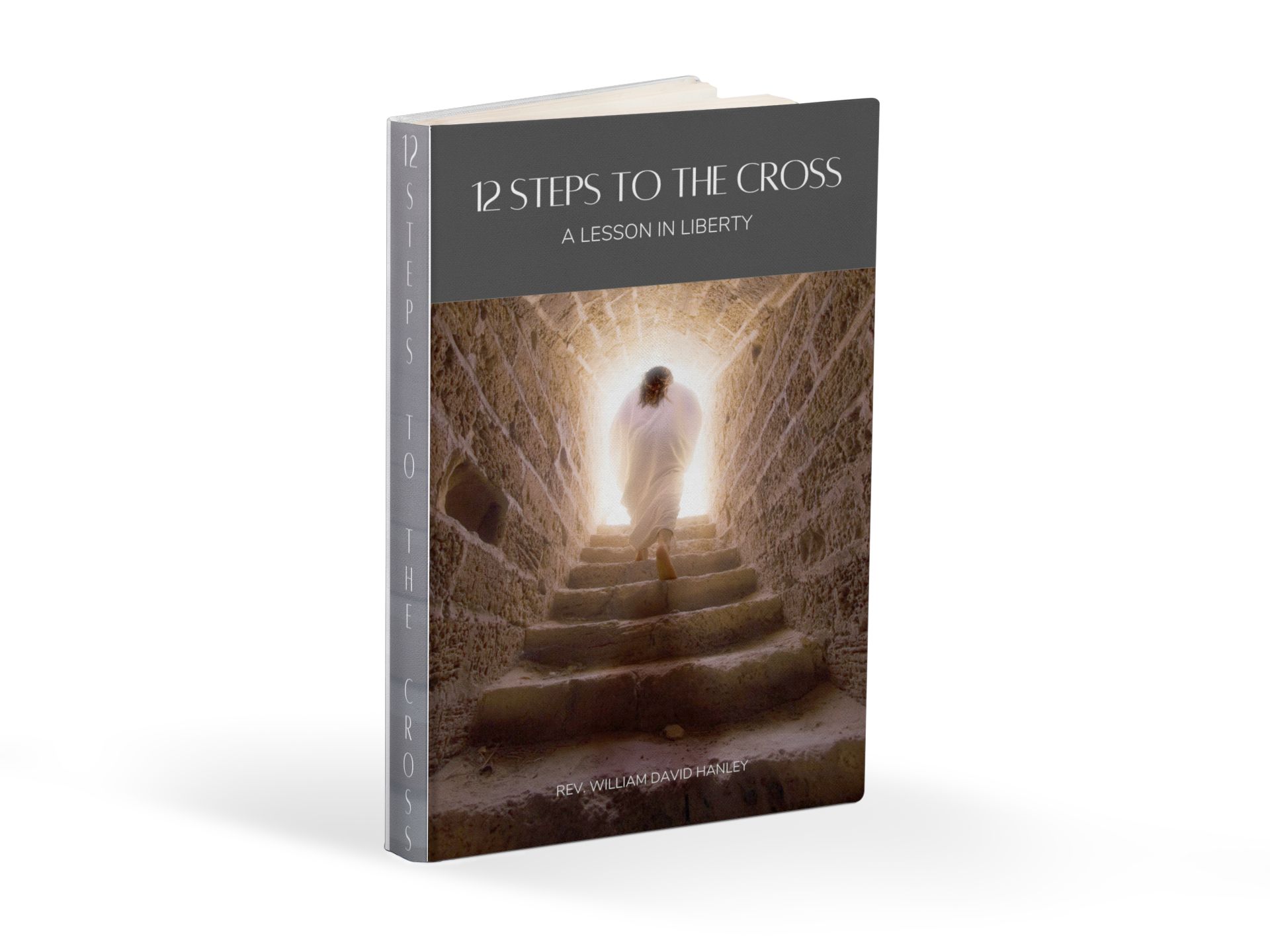 12 Steps to the Cross book cover