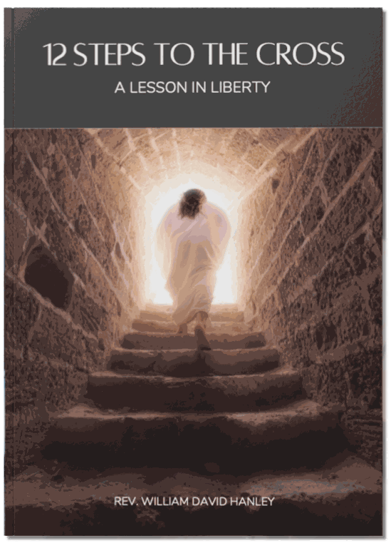 12 Steps to the Cross book cover