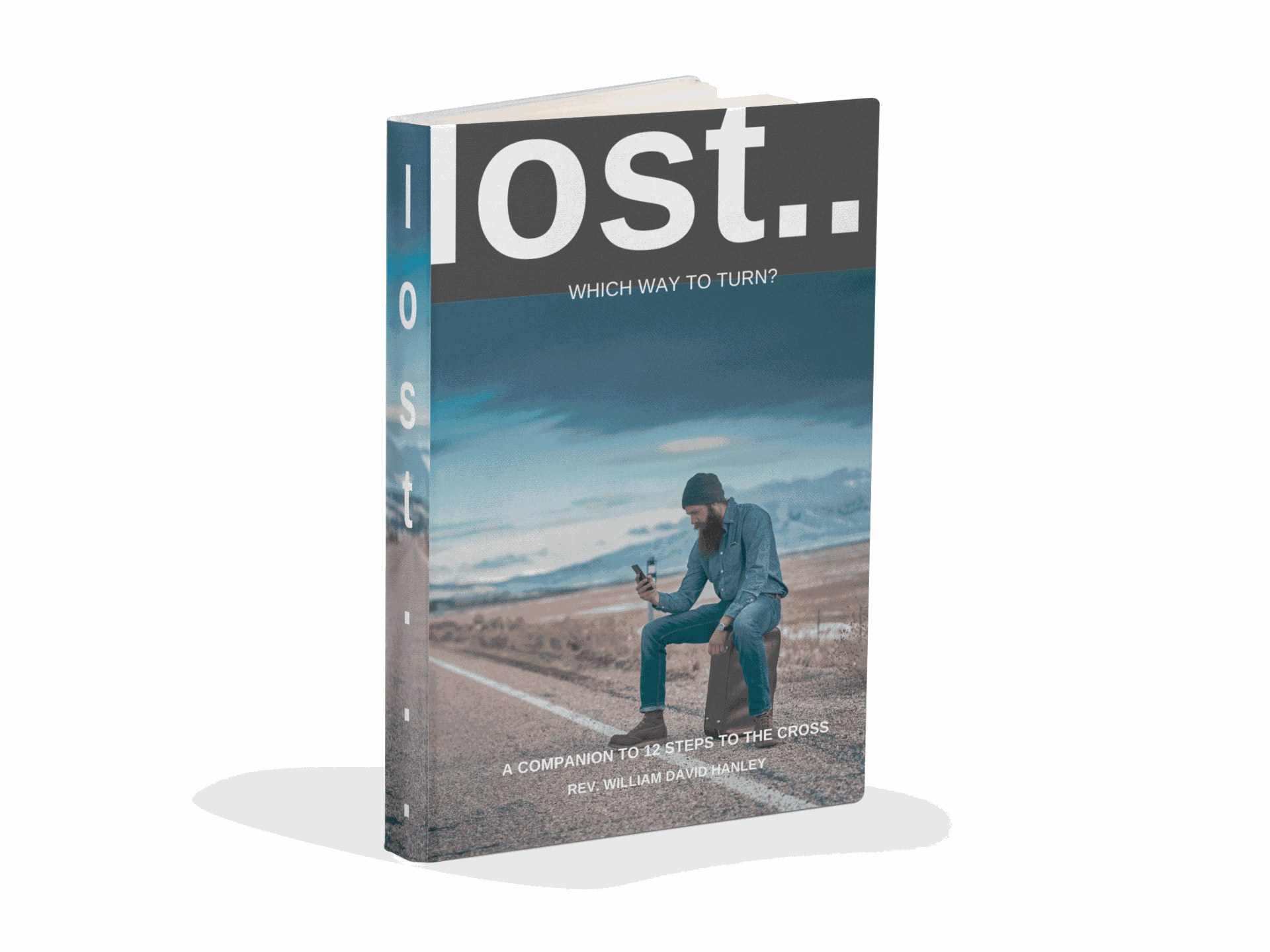 Lost… Which Way to Turn? book cover