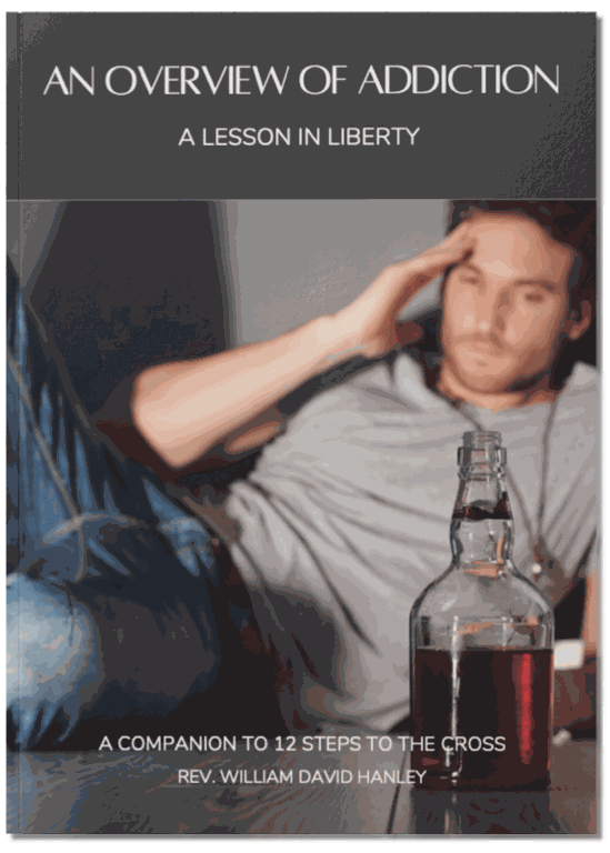 An Overview of Addiction book cover