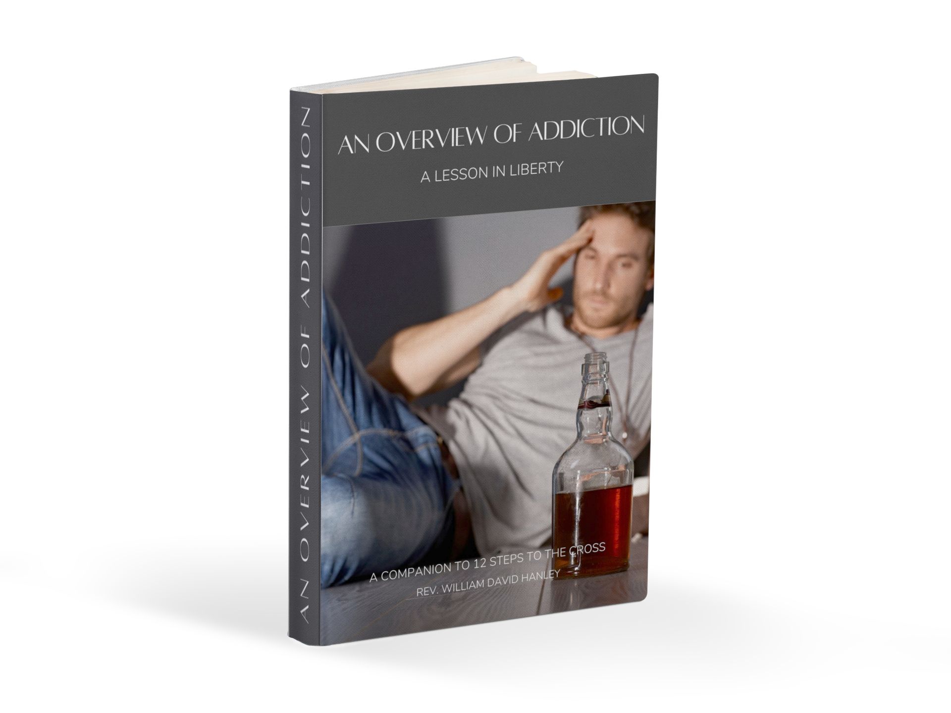 An Overview of Addiction book cover
