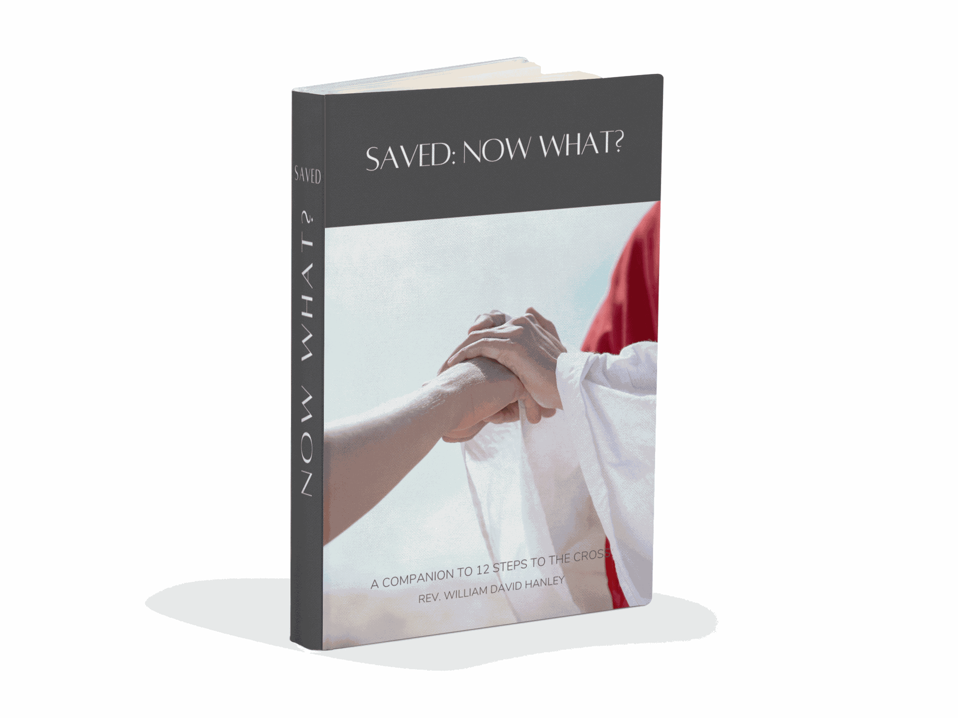 Saved: Now What? book cover